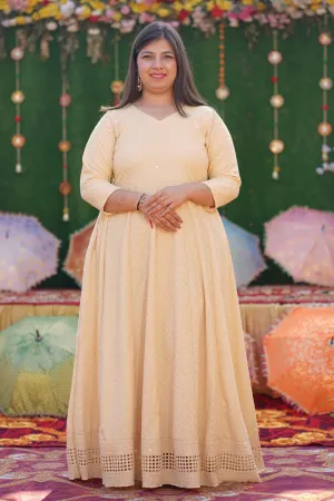 Blush Beige Sequined Fancy Dress