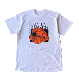 Calathea Roseopicta Tee