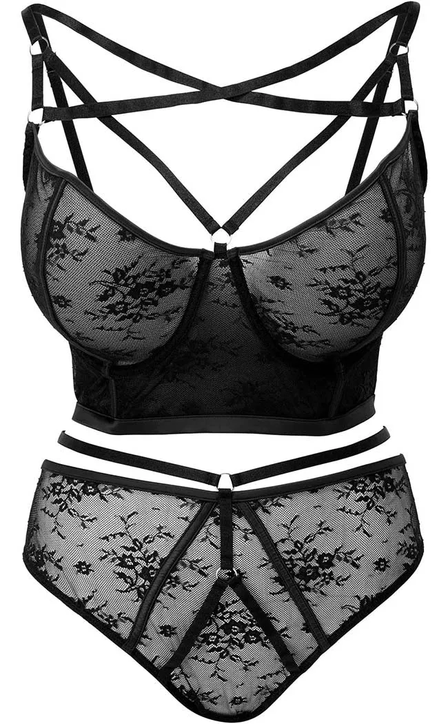 Deadly Attraction Panty | Black [Plus-Size]