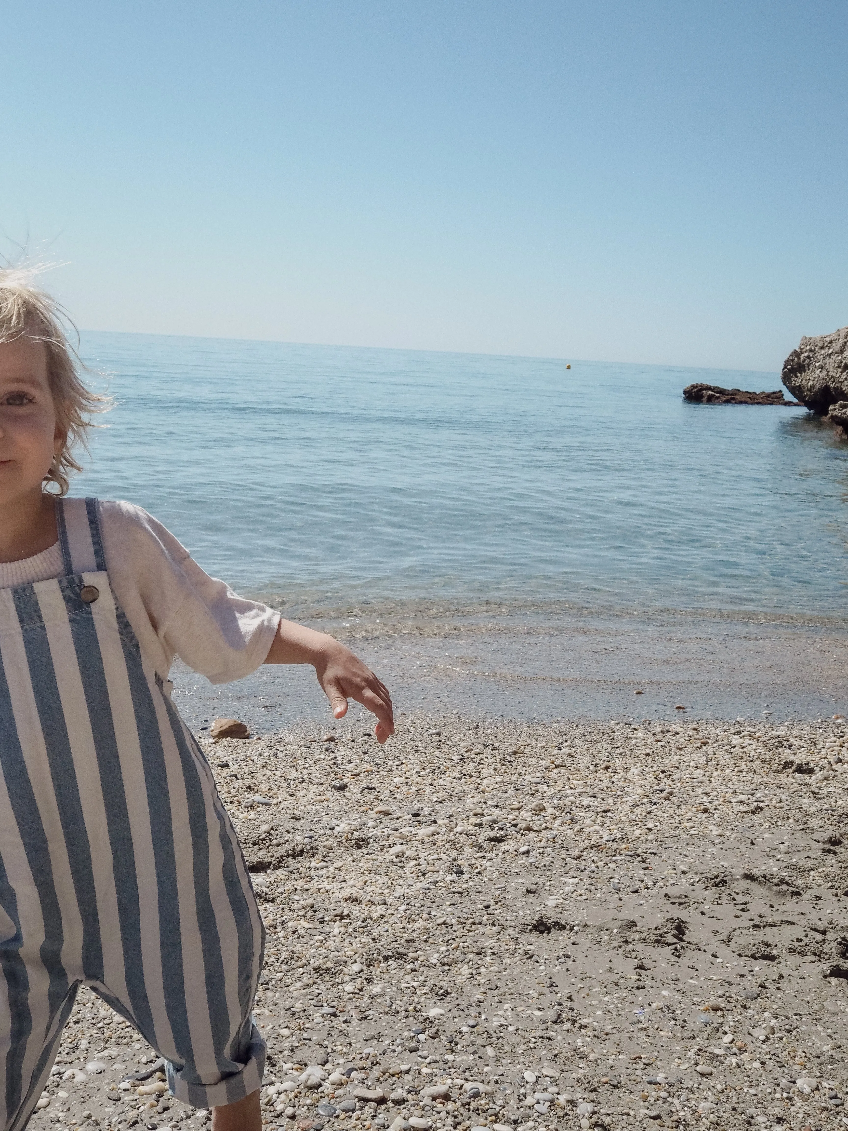 DENIM STRIPE OVERALLS