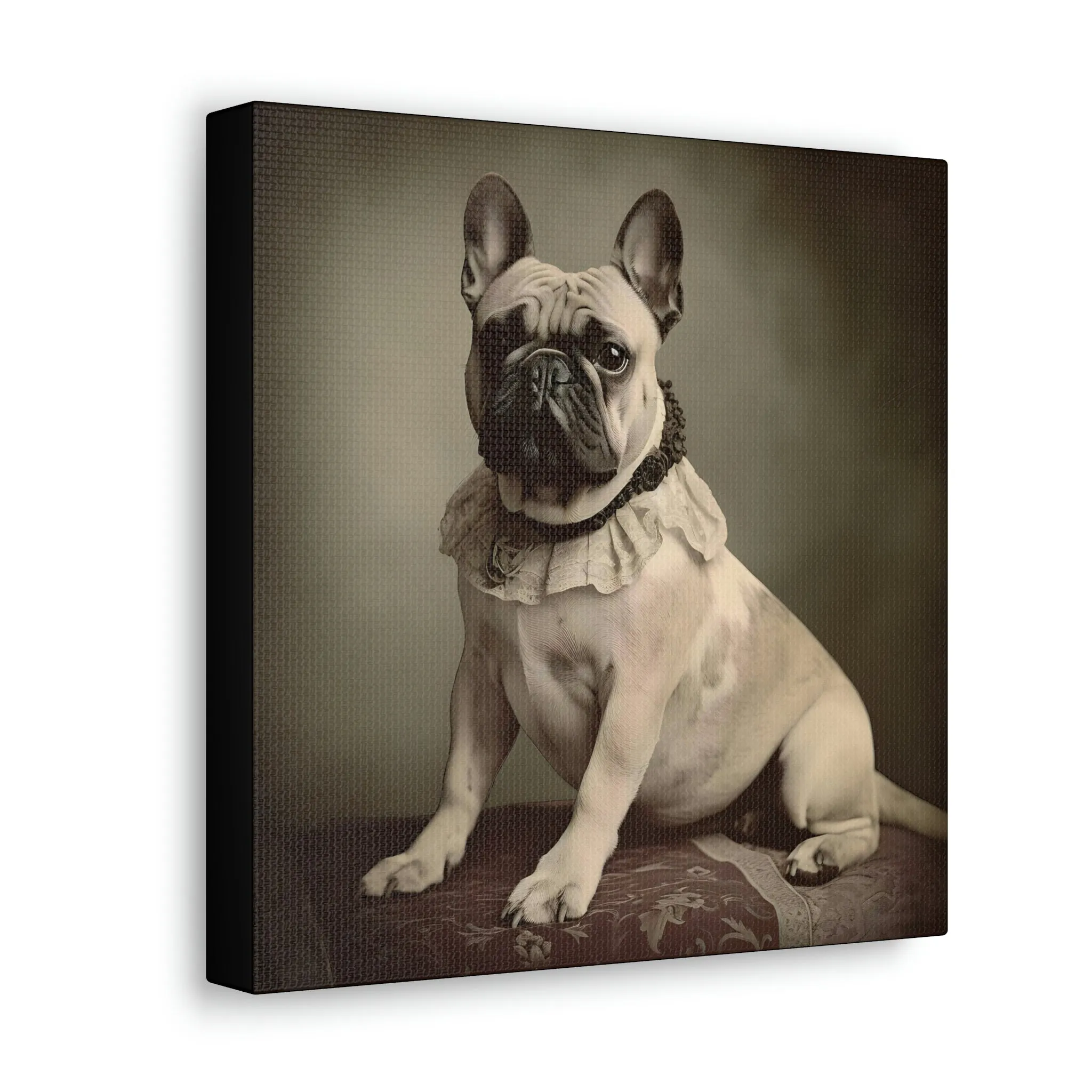 Vintage Victorian "Jess" French Bulldog Canvas Gallery Wraps