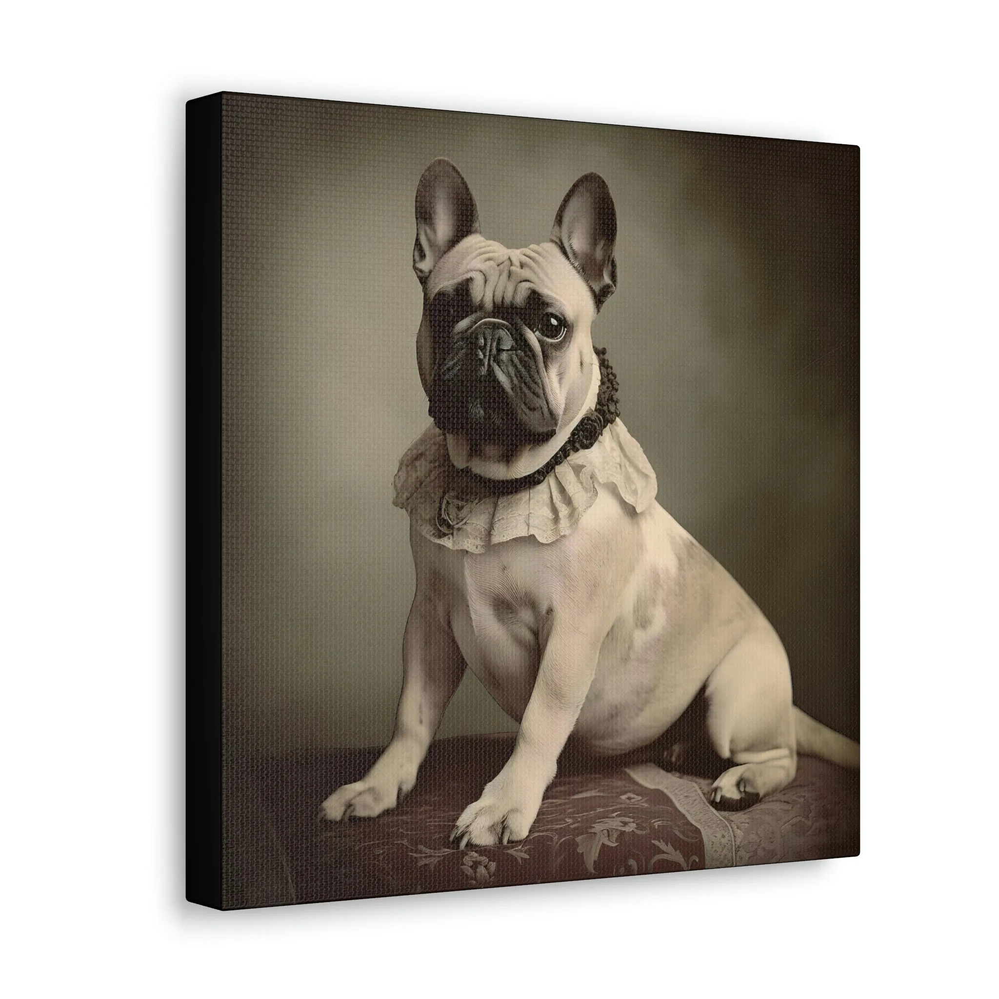 Vintage Victorian "Jess" French Bulldog Canvas Gallery Wraps