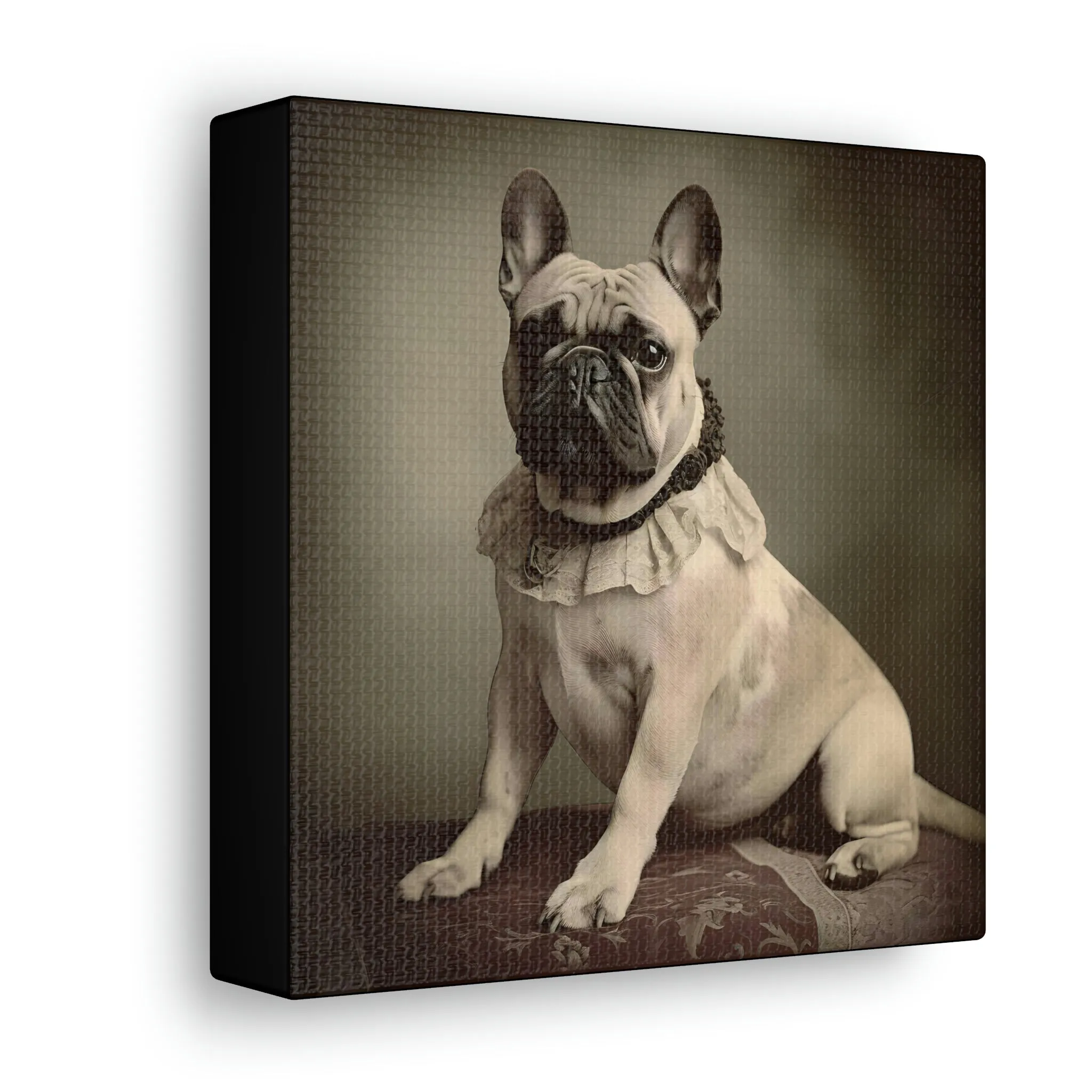 Vintage Victorian "Jess" French Bulldog Canvas Gallery Wraps